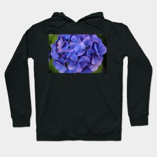 Blue hydrangea Hoodie